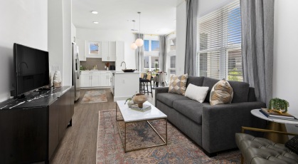 Open space living area with natural lighting