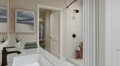walk-in shower and closet in bathroom