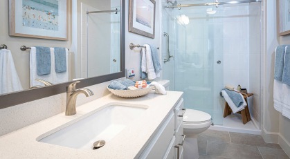 walk-in bathroom shower