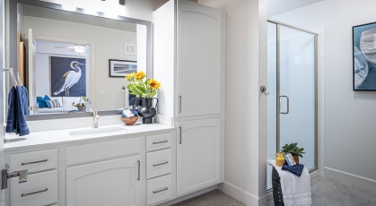 bright bathroom with walk-in shower