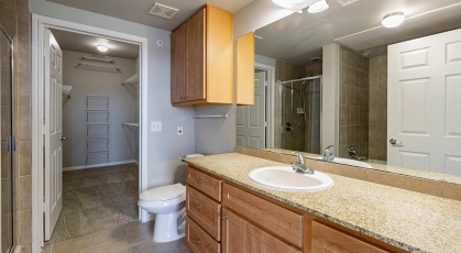 bathroom with walk-in closet
