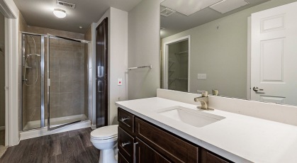 walk-in shower and closet in bathroom