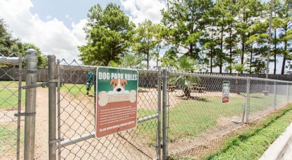 fenced dog park