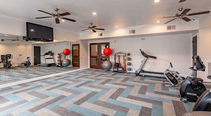 fully equipped gym