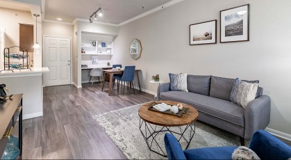 bright apartment interiors