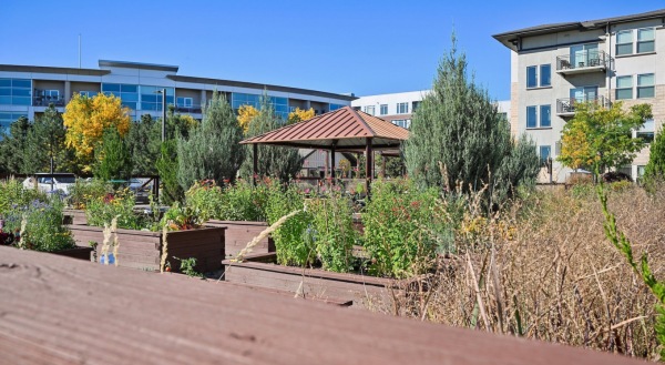Community Garden